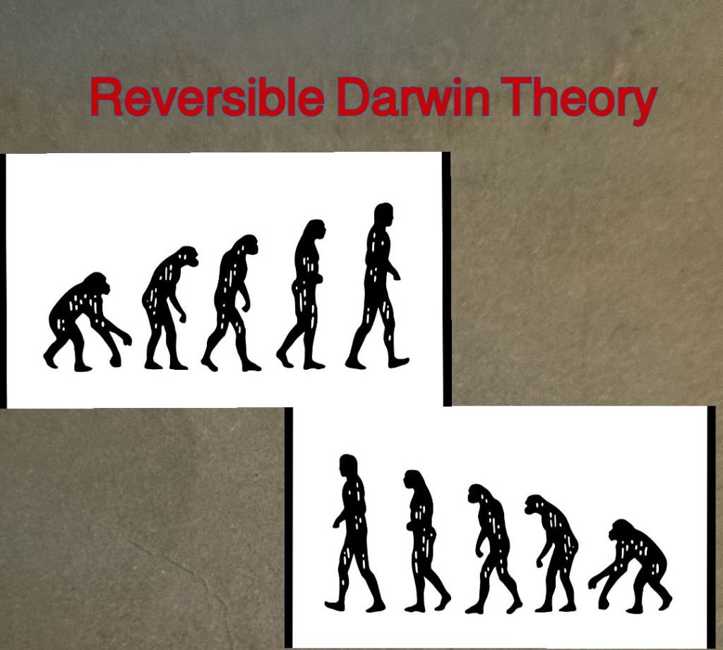 Is Darwin Theory Reversible?